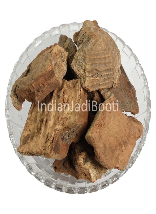 IndianJadiBooti Tej Bal - Tej Phal - Tejphal - Zanthoxylum Armatum (100 Grams) - Image 2