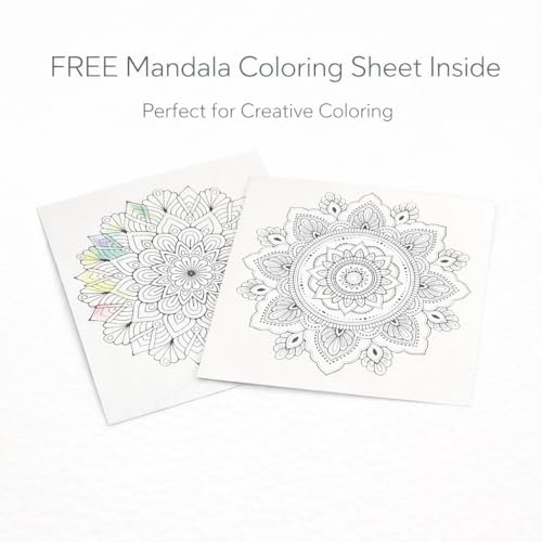 Luxor Doodles Brush Pens with FREE Mandala Art Kit | 13 Shades + Blender | Ultra Soft Tip for Calligraphy, Coloring & Doodling - Image 4