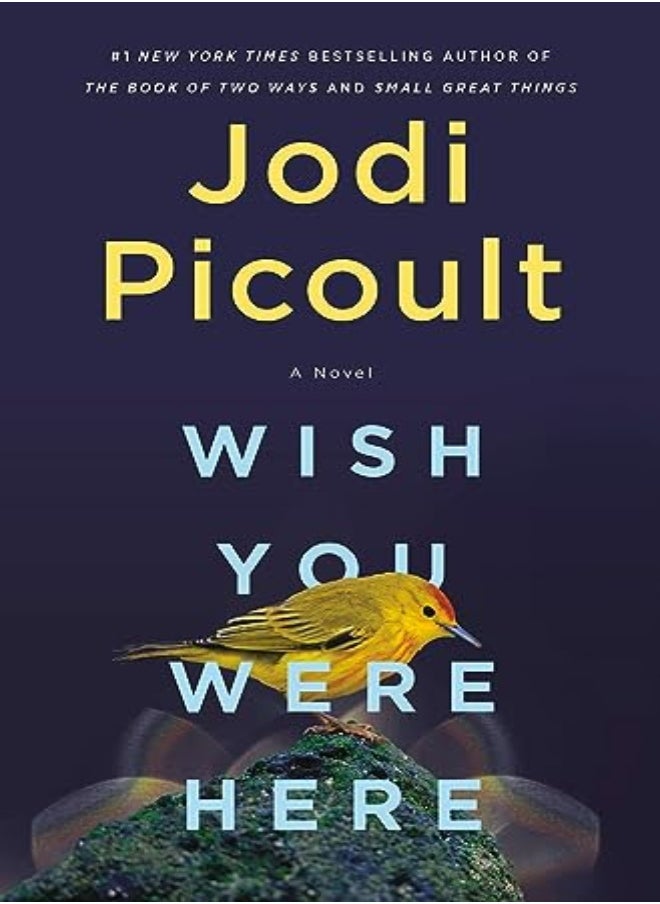 Wish You Were Here A Novel by Jodi Picoult Paperback 