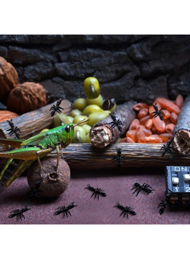 Jovitec 300 Pieces Fake Ants Prank Plastic Black Ant Bugs Joke Toys Realistic Insects for Halloween Party Favors Decoration Props - Image 2