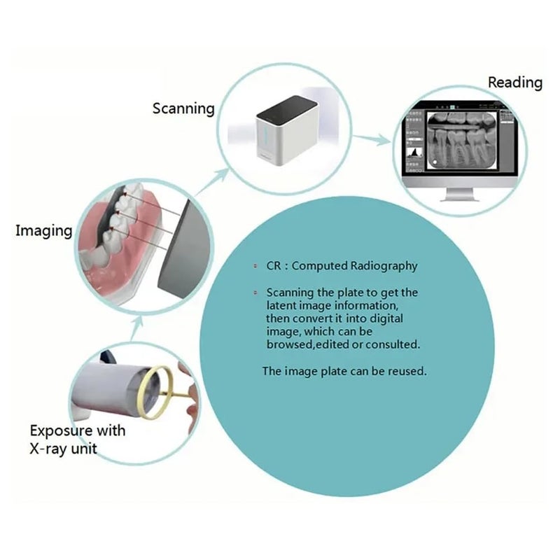 ألواح تخزين الفوسفور PSP لأشعة الأسنان الموديل 1 مع مغناطيس لعيادة بيطرية ومختبر - Image 5