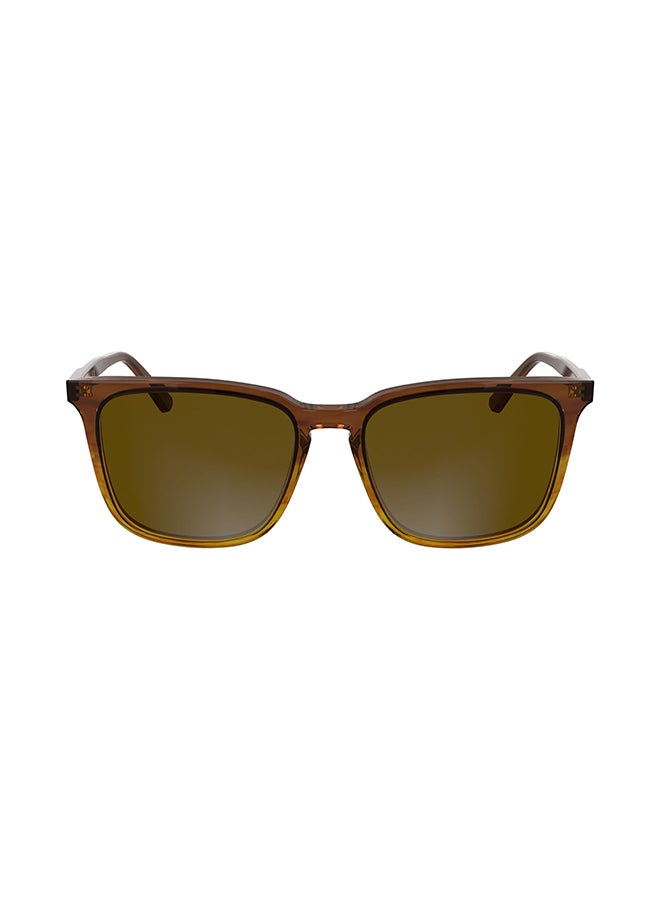 CALVIN KLEIN نظارات شمسية كاملة الإطار من أسيتات كالفن كلاين CK25507S 5417 (203) بني مخطط - Image 1