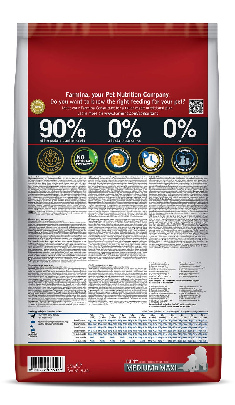 Farmina N&D Ancestral Grain Puppy Medium/Maxi Dog Food | Chicken, Spelt, Oats & Pomegranate |No Artificial Preservatives| Complete Nutrition for Puppies | 2.5kg - Image 2