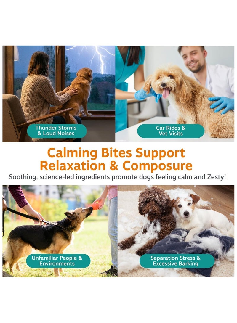 Zesty Paws Advanced Calming Chews for Dogs, Turkey Flavor, Melatonin, 90 Ct - Image 3