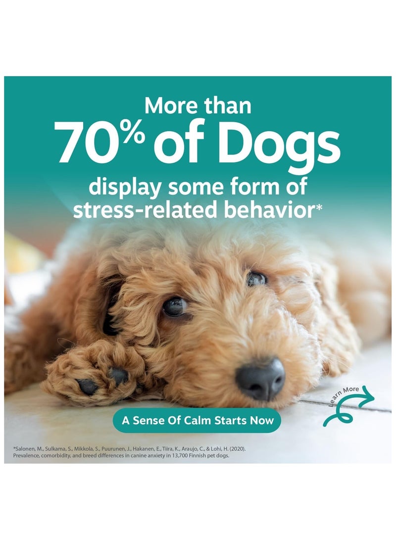 Zesty Paws Advanced Calming Chews for Dogs, Turkey Flavor, Melatonin, 90 Ct - Image 2