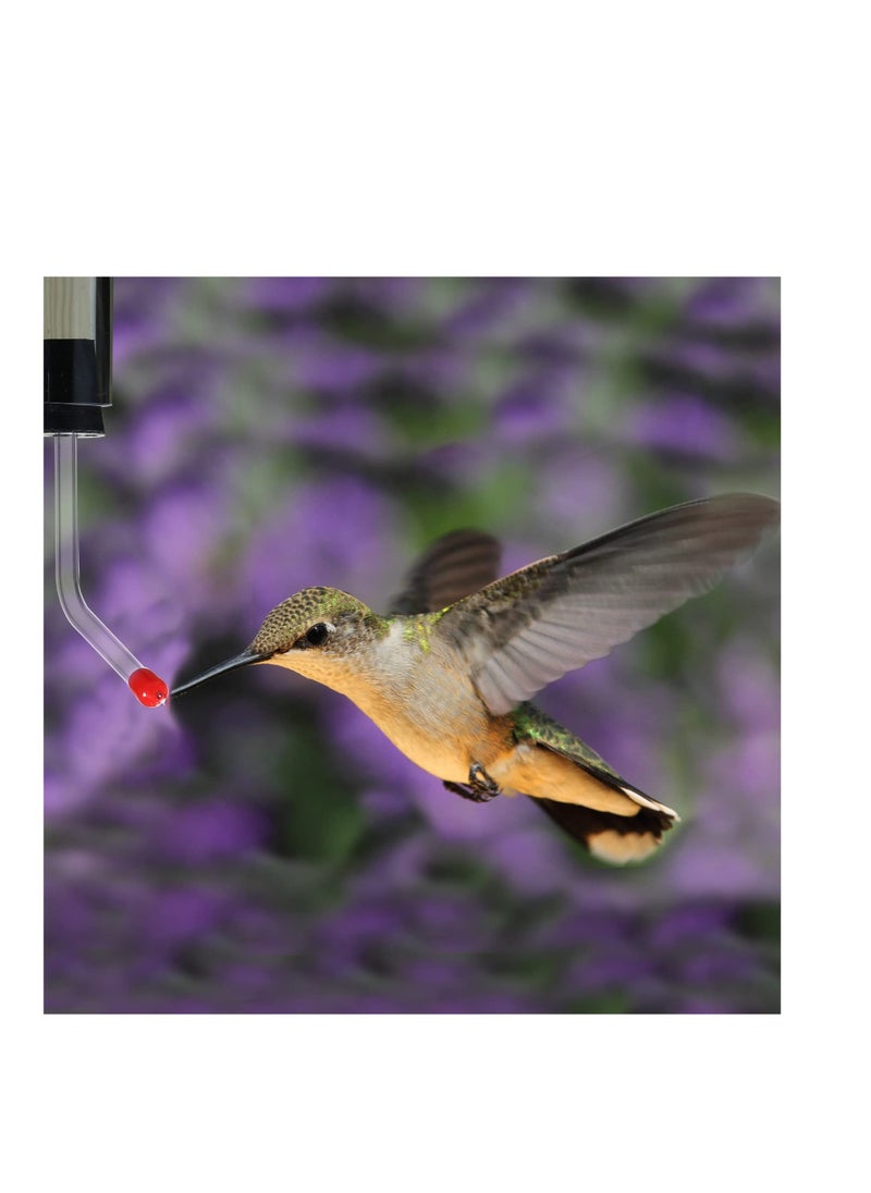 Excefore - 6 PCS Hummingbird Feeder Tubes with BB Hummingbird Feeder Replacement Parts, Bendable Garden Bird Feeder with Stoppers (Red) - Image 1