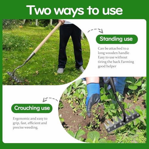 REDBUILD Iron Weeding Rake 2.0, Iron Rake for Gardening and Weedings, Heavy Duty Gardening Hand Weed Puller Tools, 8 Teeth Carbon Steel Garden Weedings Rakes for Lawn Care (8 Teeth) - Image 2