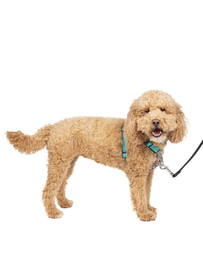 PetSafe 3 in 1 Dog Harness - No Pull Solution for Dogs - Reflective Dog Harness - Front D-Ring Clip Helps Stop Pulling - Comfortable Padded Straps - Top Handle Enhances Control - Teal - Small  - Image 1