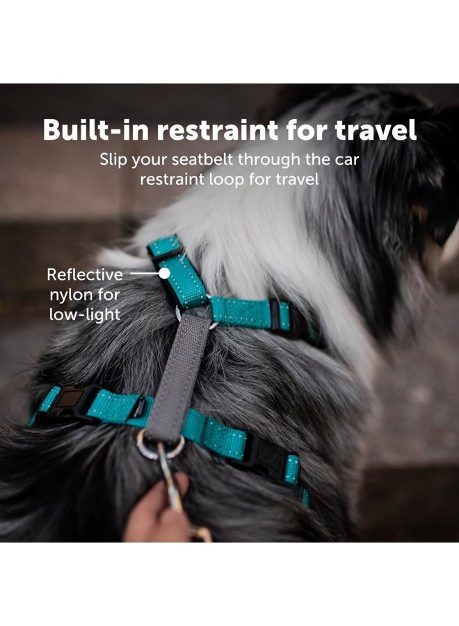 PetSafe 3 in 1 Dog Harness - No Pull Solution for Dogs - Reflective Dog Harness - Front D-Ring Clip Helps Stop Pulling - Comfortable Padded Straps - Top Handle Enhances Control - Teal - Small  - Image 4