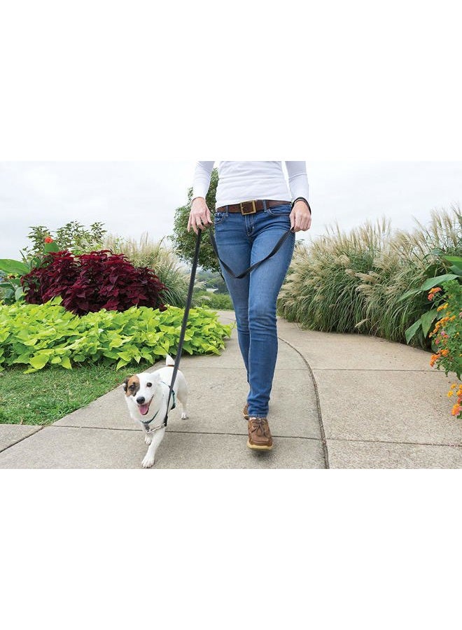 PetSafe 3 in 1 Dog Harness - No Pull Solution for Dogs - Reflective Dog Harness - Front D-Ring Clip Helps Stop Pulling - Comfortable Padded Straps - Top Handle Enhances Control - Teal - Small  - Image 2