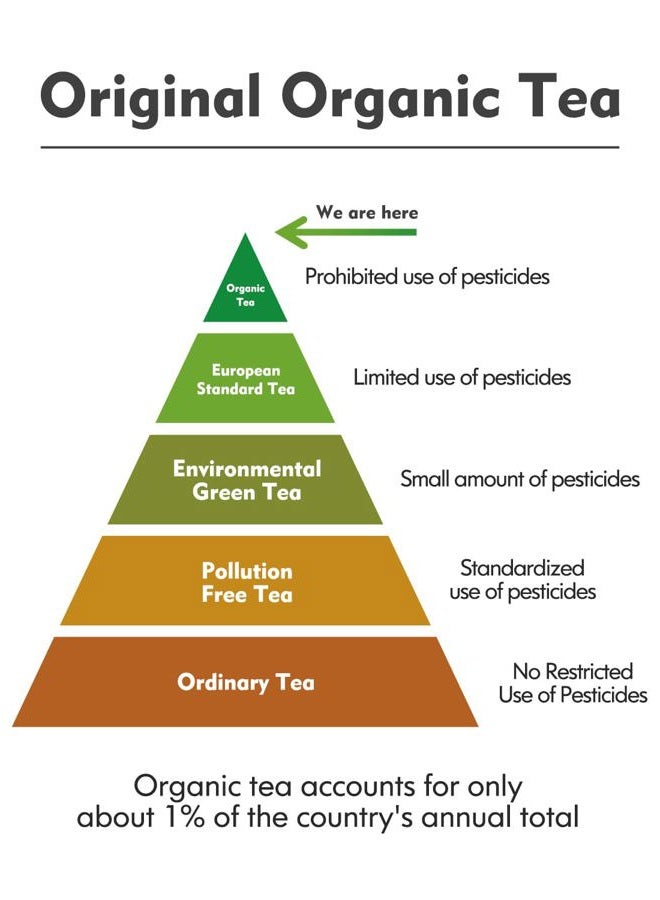 KHS Green Tea Loose Leaf, 7.06 Oz Organic Green Tea Leaves Fresh & Elegant Flavor Natural USDA Organic Loose Green Leaf Tea for Hot or Iced Tea Beverages -200g - Image 2