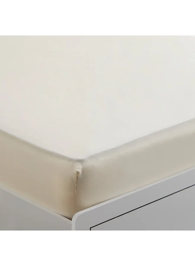 Home Box Essential Cotton Queen Fitted Sheet - 150x200+36 cm