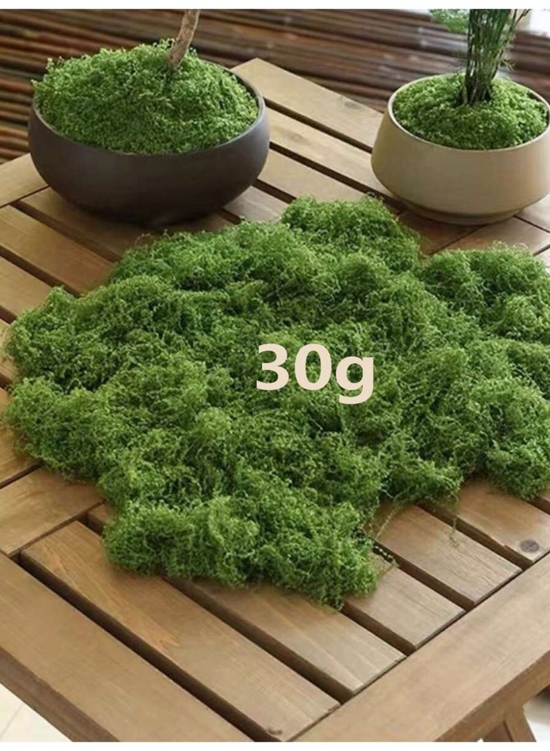 محاكاة موس ، موس الاصطناعي بيونيك الاصطناعي موس ، موس الأخضر الصغير زخرفة المناظر الطبيعية ، ديي الحديقة بوعاء النباتات تزيين المناظر الطبيعية ، في الهواء الطلق حديقة الديكور - Image 3