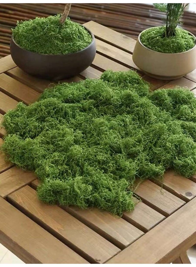محاكاة موس ، موس الاصطناعي بيونيك الاصطناعي موس ، موس الأخضر الصغير زخرفة المناظر الطبيعية ، ديي الحديقة بوعاء النباتات تزيين المناظر الطبيعية ، في الهواء الطلق حديقة الديكور - Image 4