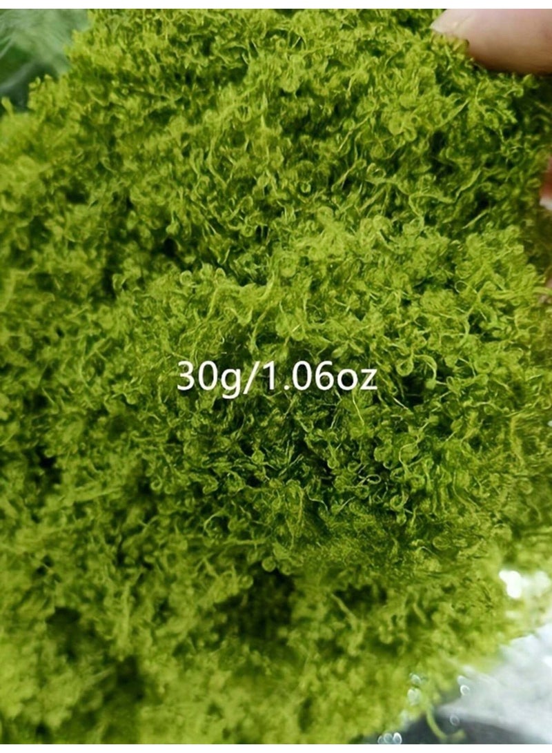 محاكاة موس ، موس الاصطناعي بيونيك الاصطناعي موس ، موس الأخضر الصغير زخرفة المناظر الطبيعية ، ديي الحديقة بوعاء النباتات تزيين المناظر الطبيعية ، في الهواء الطلق حديقة الديكور - Image 2