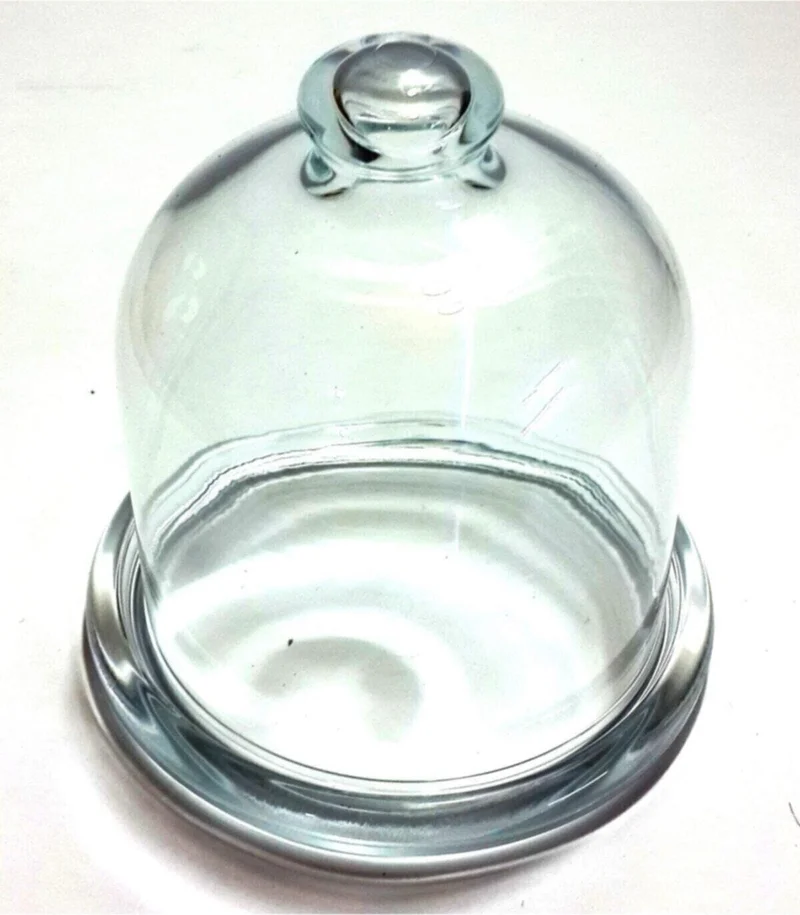 Paşabahçe Basic Glass Lemon Storage Container with Lid Fma05156