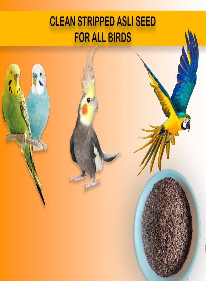 BIRDIE'S مجموعة بيردي من بذور الكتان (Alsi) 1 كجم + 1 كجم بذور النيجر + 1 كجم بذور الراجي (الدخن الإصبعي) للطيور (طيور الحب، الببغاوات، الكوكاتيل، الببغاء الصغير، الكونيور، الكوكاتو، المكاو، والرمادي الأفريقي). - Image 5