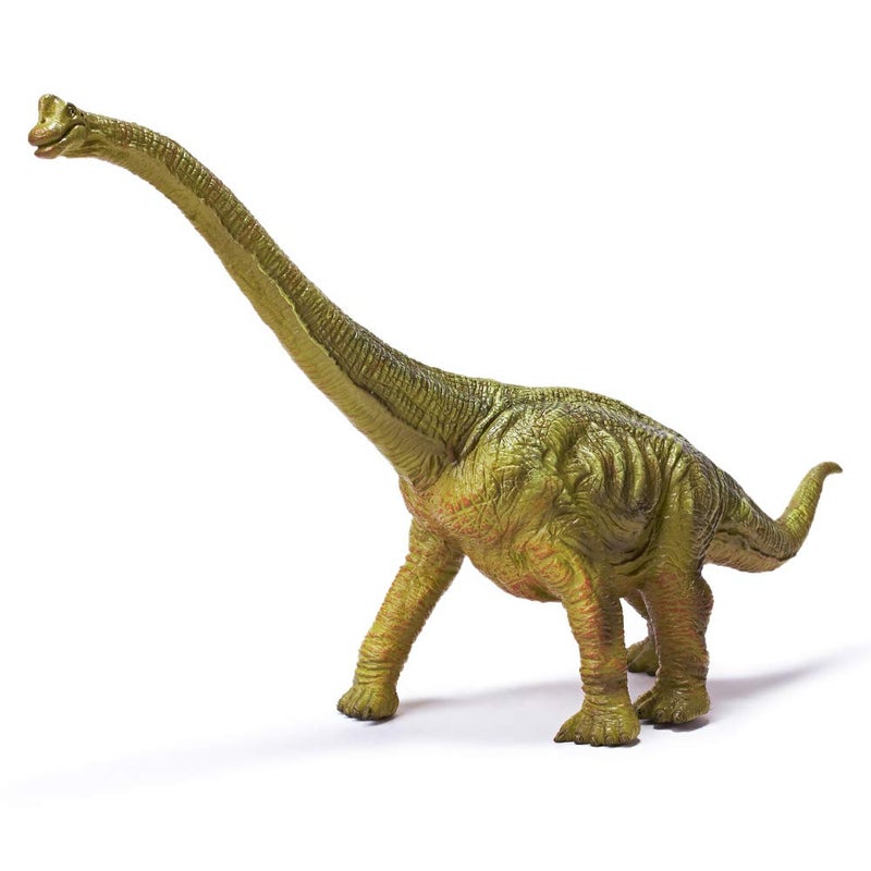 RECUR 13 Brachiosaurus Dinosaur Toys Jurassic Figure Toy for Kids World Safe Odorless HandPainted Figurines Realistic Design Replica Collectors Gift Ages 3 - Image 2