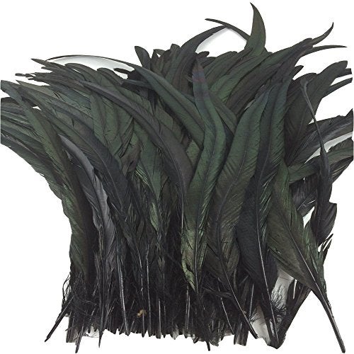 CENFRY Nature Rooster Coque Tails Feathers Costume Craft Decoration 12-14inch Pack of 25 (black) - Image 2