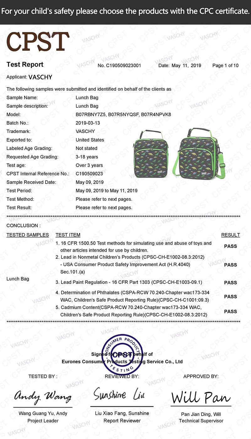 VASCHY 8.6L Large Capacity Insulated Lunch Bag for Boys with Adjustable Shoulder Strap, Thermal Tote Bag with Bottle Pocket for School, Outdoor (Green Dinosaur) - Image 2