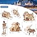 calary 3D Wooden Puzzle Simulation Animal Dinosaur Assembly DIY Model Toy for Kids and AdultsSet of 6 - Image 4