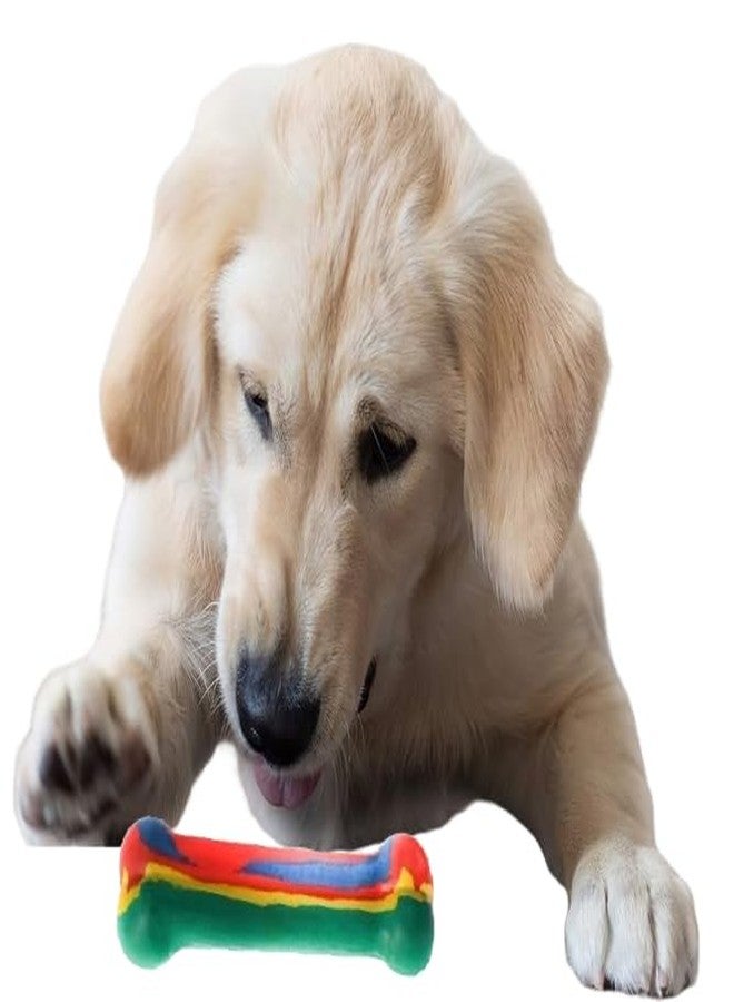 swacch Small Rubber Bone I Chew Toy for Dogs I Dental Teething I Puppy and Dog Teething Chew Toy - Image 1