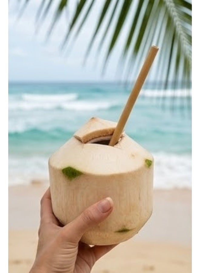 شفاطات بامبو قابلة لإعادة الاستخدام مع فرشاة تنظيف – شفاطات طبيعية عضوية 100% صديقة للبيئة للمشروبات الساخنة والباردة، العصائر، السموثي، القهوة، الشاي، الكوكتيلات – شفاطات متينة وعديمة الطعم والرائحة، بديل صحي للبلاستيك – عبوة 4 قطع للكبار والأطفال - Image 5