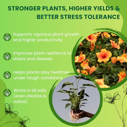 Utkarsh Roots Multiplier Plant Food | Hairy Root Booster for Plants | Enhances Root Growth, Nutrient Uptake & Plant Health (1 Lit; Pack of 1) - Image 5