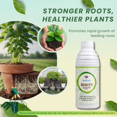 Utkarsh Roots Multiplier Plant Food | Hairy Root Booster for Plants | Enhances Root Growth, Nutrient Uptake & Plant Health (1 Lit; Pack of 1) - Image 2
