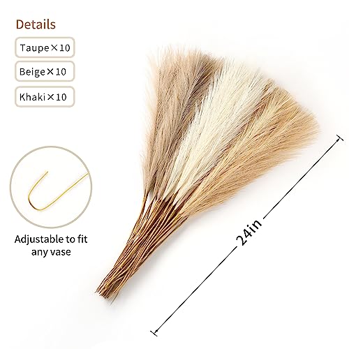 Wertuirk 30pcs Pampas Grass Decor 24 Inch Boho Home Decor Artificial pompas Floral Small Faux Pompous Grass for Table Centerpieces Wedding and Baby Shower Decorations - Image 3