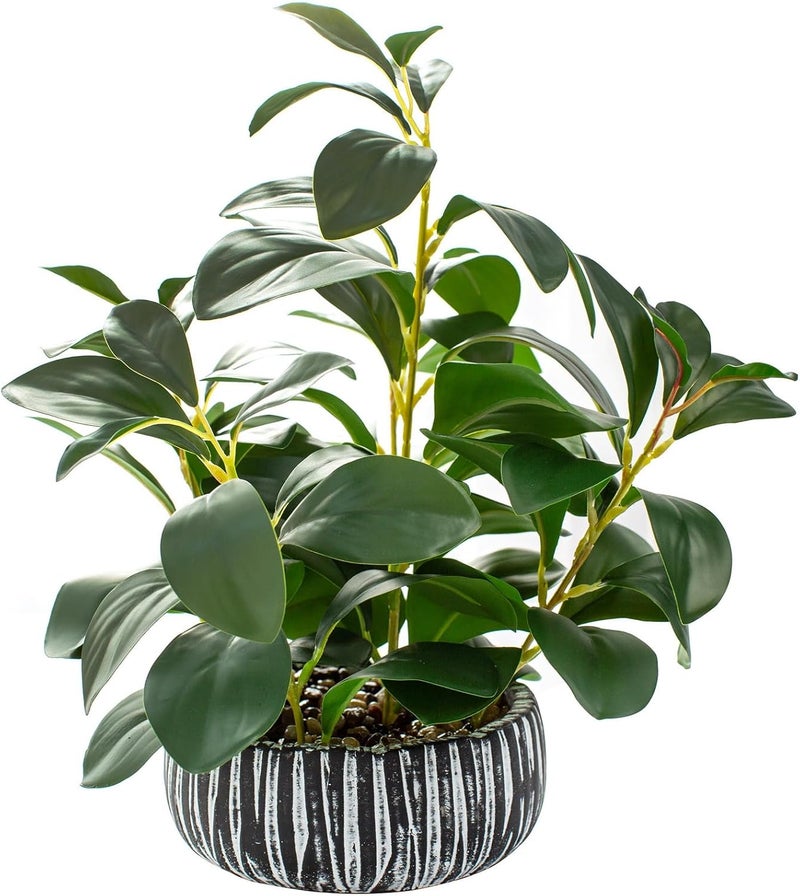 AlphaAcc Artificial Plants Decor Greenery Fake Succulents Indoor Potted Fake Plant with Rustic Black Clay Planter for Farmhouse Room Bathroom Bedroom Kitchen Office Table Desk Decor - Image 1