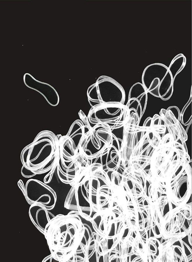 BEBEEPOO Clear Elastic Hair Bands，BEBEEPOO 500pcs Mini Hair Rubber Bands with a Box, Soft Hair Elastics Ties Bands 2mm in Width and 30mm in Length for Girls Kids Women - Image 1