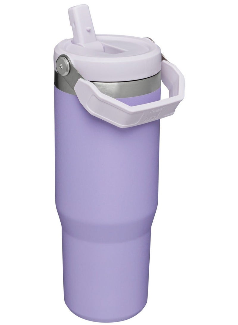 Stanley Large Capacity Insulated Water Bottle - Image 2