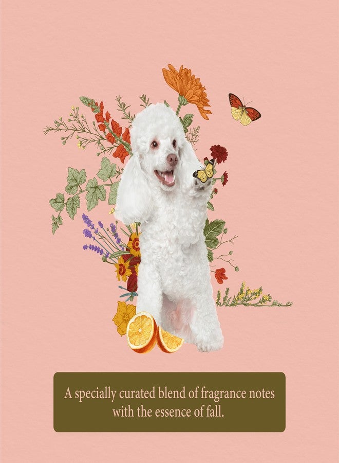 H HYDRA GROOMERS Pet Spa Senses Serenity Eau de Cologne 120 ml - Image 3