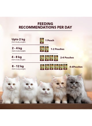 Cat Wet Food Salmon Fish in Gravy - view 4