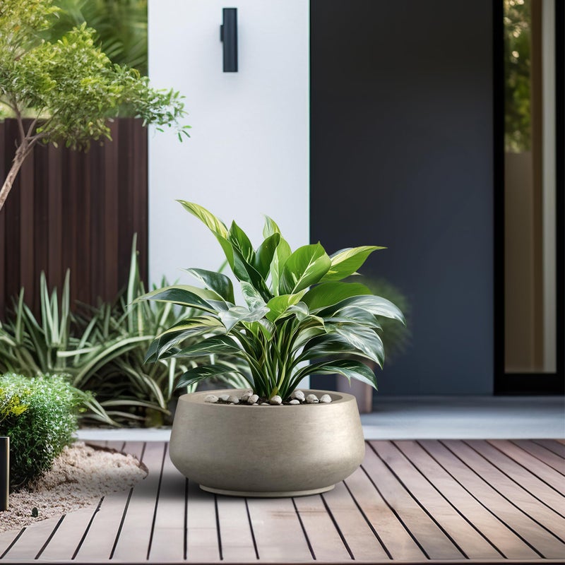 Kante 12.6" Dia Round Concrete Bonsai Planters, Outdoor Indoor Garden Plant Pot with Drainage Hole for Home, Patio, Garden, Weathered Concrete Finish with Painted Interior - Image 4