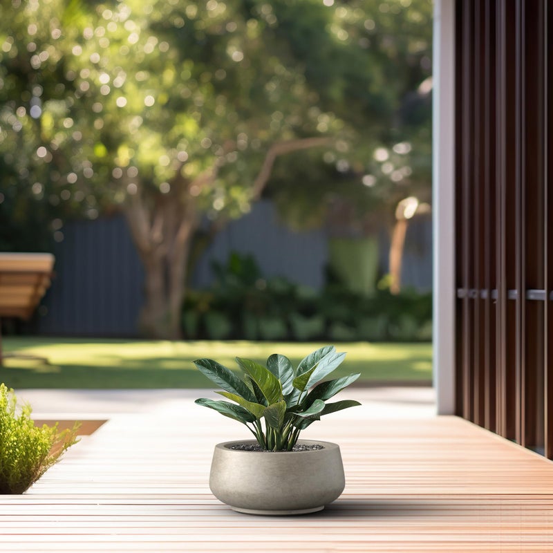 Kante 12.6" Dia Round Concrete Bonsai Planters, Outdoor Indoor Garden Plant Pot with Drainage Hole for Home, Patio, Garden, Weathered Concrete Finish with Painted Interior - Image 5