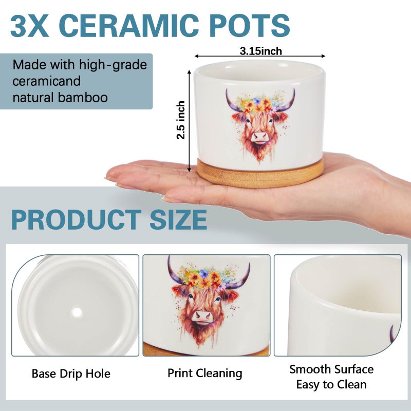 Jingmore 3 Pcs Decor Gift for Women Planter Ceramic Gift Animal Plant Pot with Bamboo Tray for Office Home Farm House Bathroom Kitchen Christmas Decorations (No Plants Included) (Highland Cow) - Image 3