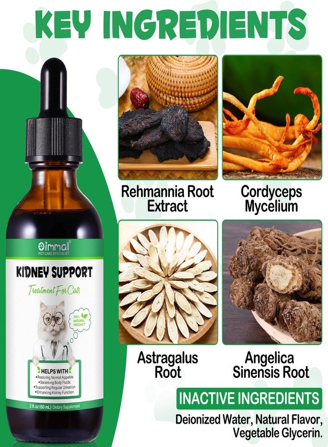 VOSIFSDIY دعم الكلى للقطط، علاج أمراض الكلى للقطط، يساعد القطط على التبول بانتظام، ويقوي وظائف الكلى، ويعزز المناعة، مكمل عشبي يدعم صحة الكلى - 60 مل/2 أونصة سائلة - Image 4