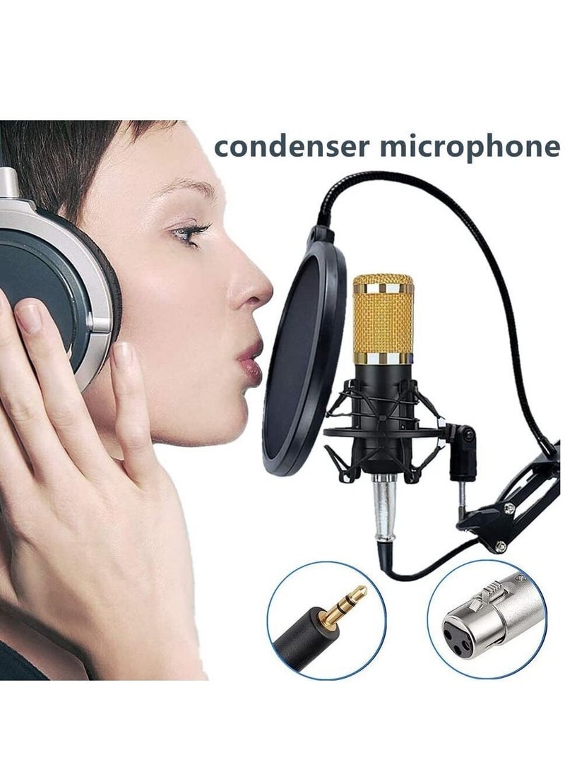 "Studio Recording & Broadcasting Set: Professional Condenser Microphone with V8S Live Sound Card – Black/Gold" - Image 2