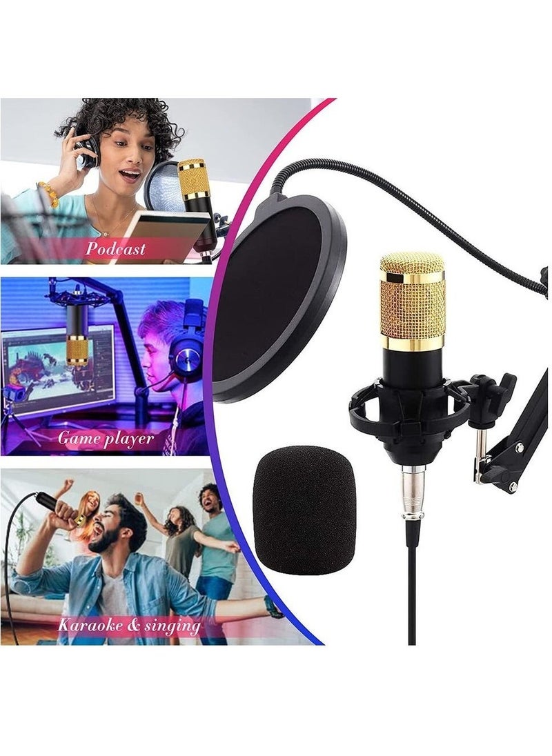 "Studio Recording & Broadcasting Set: Professional Condenser Microphone with V8S Live Sound Card – Black/Gold" - Image 5