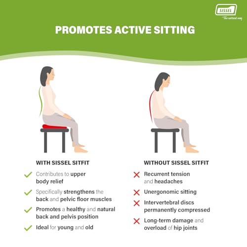 SISSEL SITFIT Plus | الجلوس النشط والديناميكي | وظيفة 2 في 1 | ضغط قابل للتعديل | أزرق، 14.5 بوصة | يقوي عضلات الظهر | يشمل مضخة وملصق تمرين - Image 3