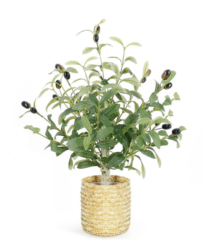 19 Inches Fake Olive Tree with Woven Basket Realistic Artificial Small Olive Tree Pot and Lifelike Fruits for Home Office Living Room Tabletop Decor