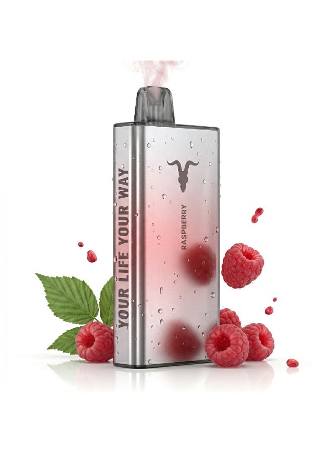 ignite Raspberry 40000 Puffs 5mg Nicotine Rechargeable Disposable Vape - Image 2