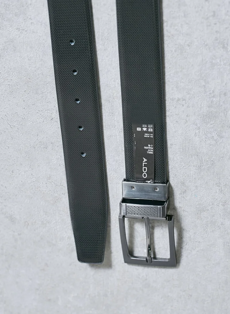 ALDO Coresen Belt