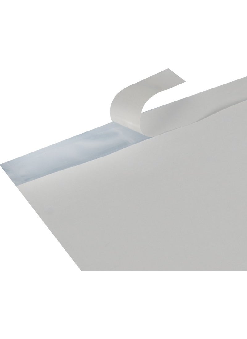 Packanya 14x25-1000 Bill Pocket  - Image 3