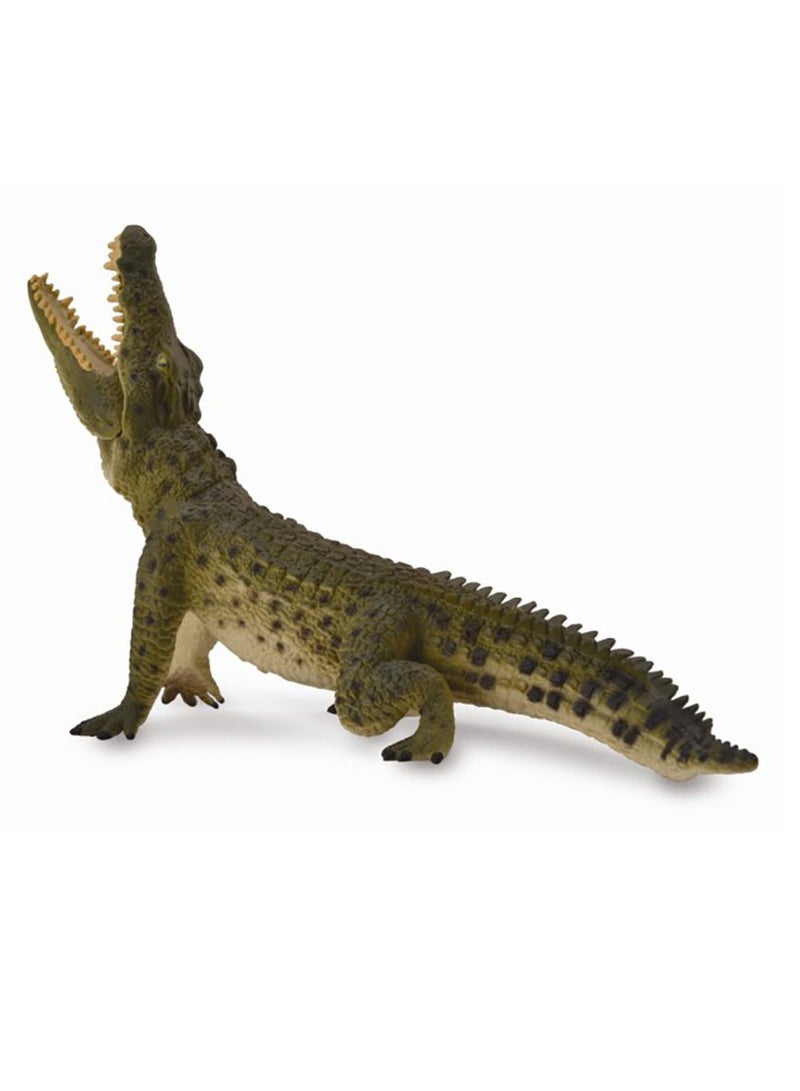 Collecta - Nile Crocodile - 88725