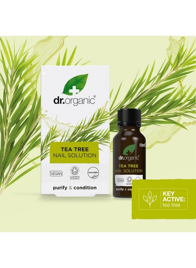 دكتور أورجانيك محلول شجرة الشاي العضوي للأظافر من دكتور عضوي، 0.34 أونصة سائلة - Image 4