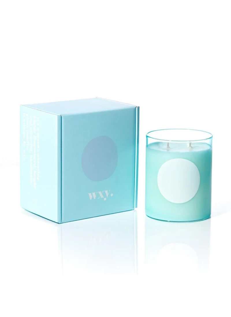 WXY Disco Candle – Orris Root & Amber  Disco Collection  Luxury Scented Candle in Glass Base – Perfect for Gifting