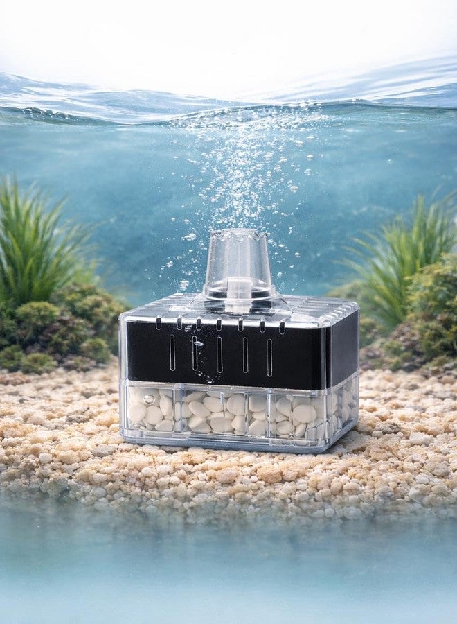 Rizopets Aquarium Bio Sponge Filter, Corner Filter with Ceramic Media for Small Fish Tank - Image 4